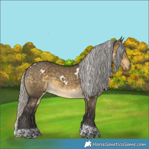 Horse Color:White Spotted Silver Buckskin Dun Tobiano