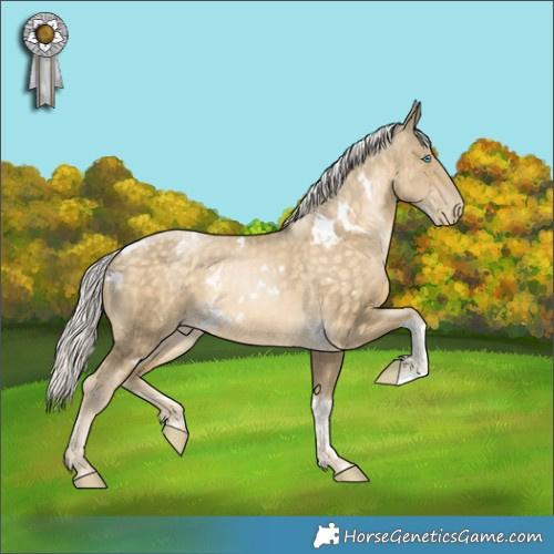 Horse Color:White Spotted Silver Buckskin Pearl Tobiano Rabicano