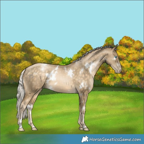 Horse Color:White Spotted Silver Buckskin Pearl