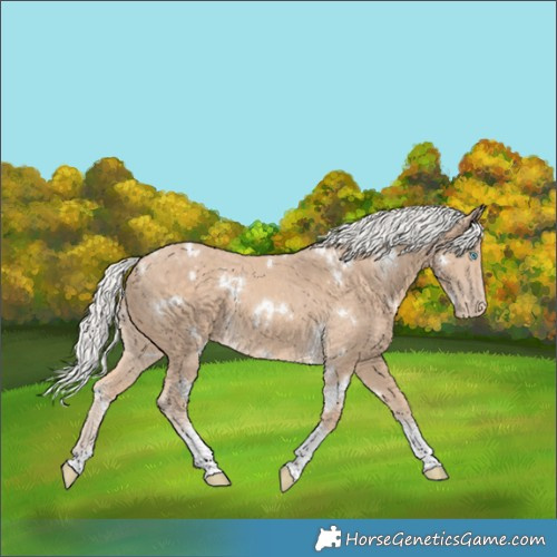 Horse Color:White Spotted Silver Perlino Tobiano Appaloosa