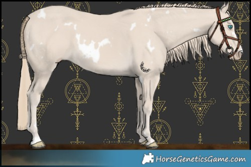 Horse Color:White Spotted Smoky Creme 