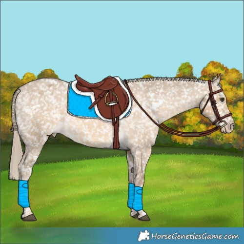 Horse Color:White Spotted Chocolate Palomino Dun Snowflake Varnish