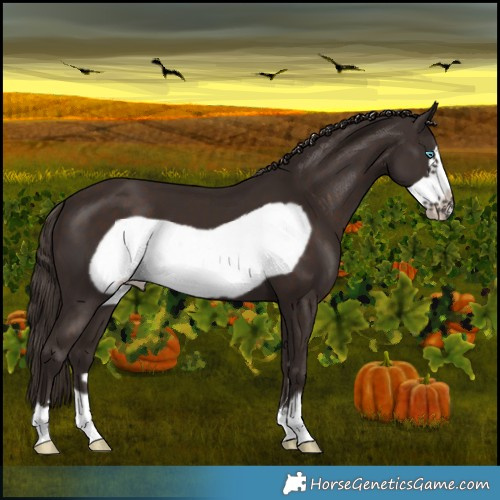 Horse Color:Liver Chestnut Frame 
