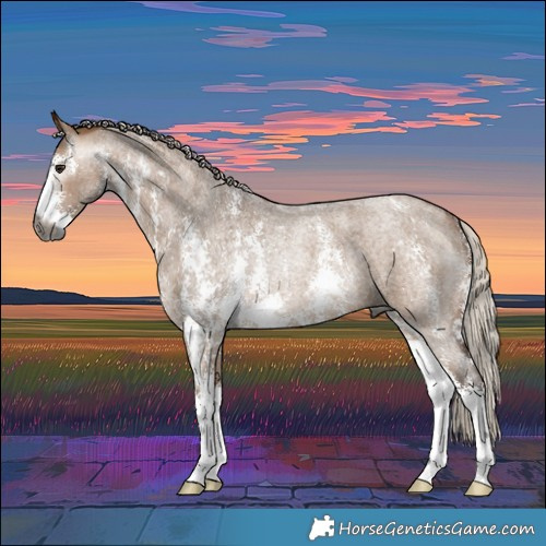 Horse Color:Gray Silver Bay Roan Dun Sabino Rabicano 