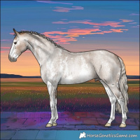 Horse Color:Gray Silver Bay Roan Dun Sabino Rabicano 