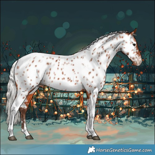 Horse Color:Powder White Silver Bay Tobiano Near Leopard Rabicano 