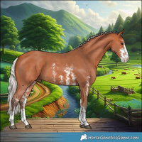 Horse Color:Silver Bay Sabino 