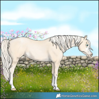Horse Color:Palomino Pearl 