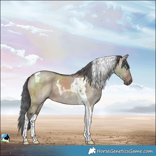 Horse Color:Brown Dun Merle Tobiano 