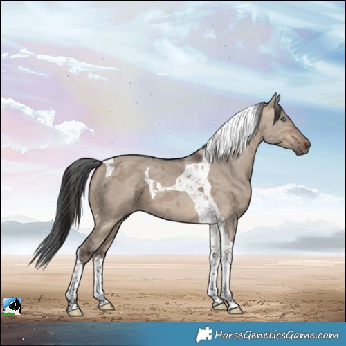 Horse Color:Brown Dun Merle Tobiano 