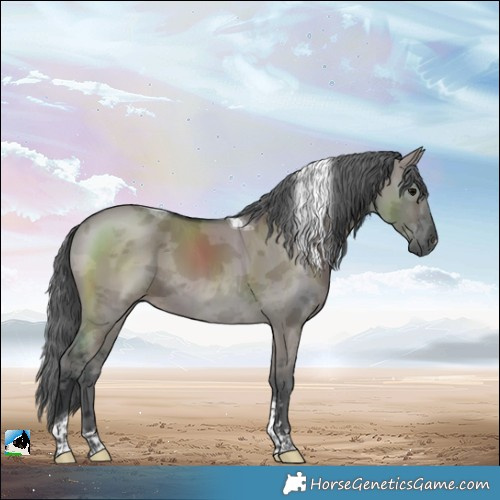 Horse Color:Grullo Merle Tobiano 