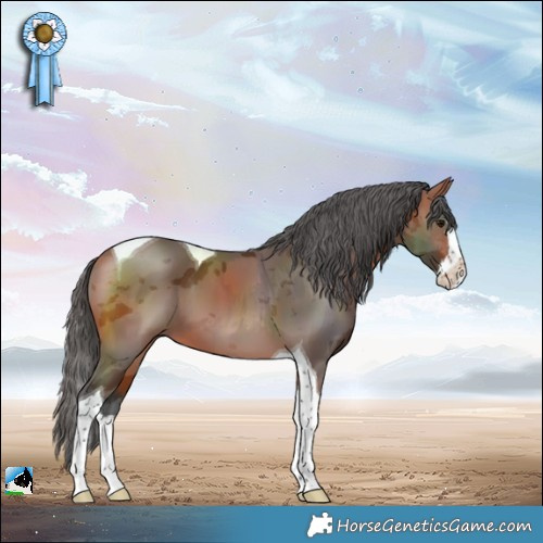 Horse Color:Bay Merle Splash Tobiano 