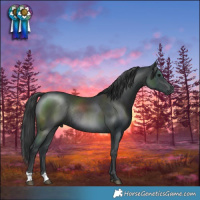 Horse Color:Black Mushroom Rabicano