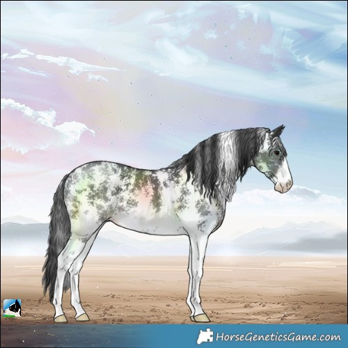 Horse Color:Black Sabino