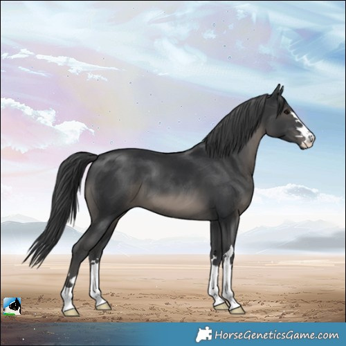 Horse Color:Black Mushroom 