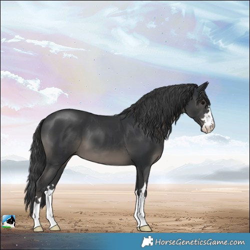 Horse Color:Black Mushroom