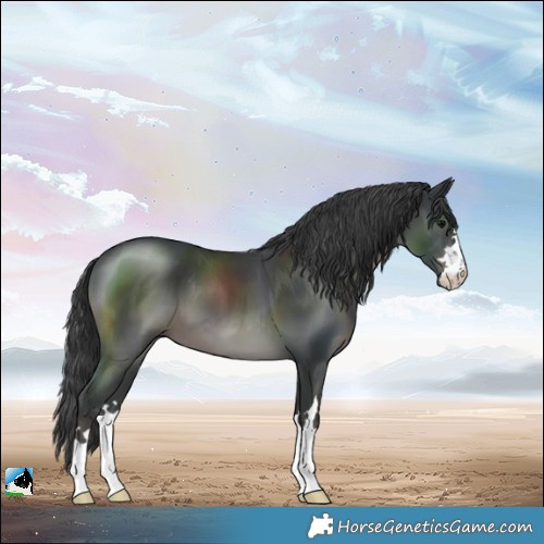Horse Color:Black Mushroom 