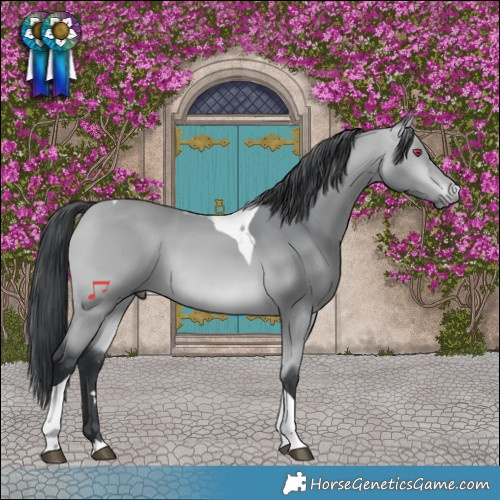 Horse Color:Bay Chinchilla Tobiano 