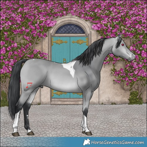 Horse Color:Bay Chinchilla Tobiano 