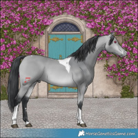 Horse Color:Bay Chinchilla Tobiano