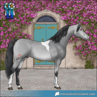 Horse Color:Bay Chinchilla Tobiano 