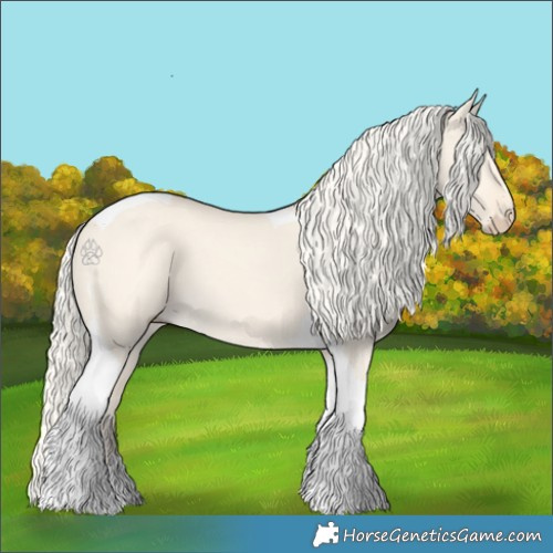 Horse Color:Cremello Dun Tobiano