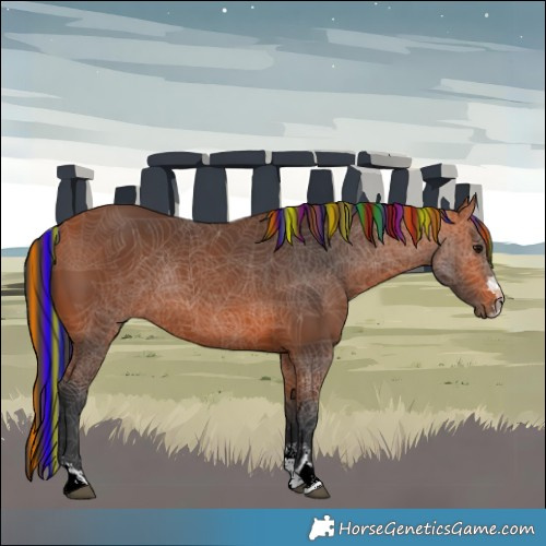 Horse Color:Painted Bay Rabicano