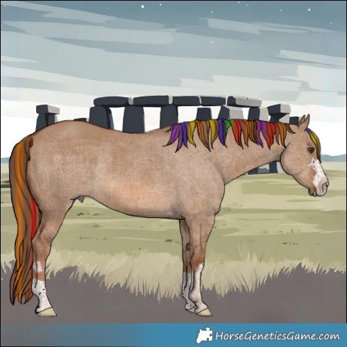 Horse Color:Painted Red Dun Rabicano