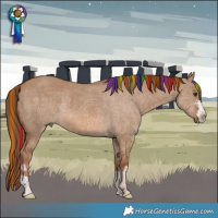 Horse Color:Painted Red Dun Rabicano