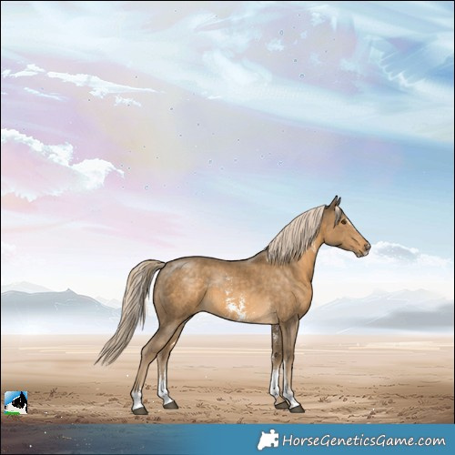 Horse Color:Chocolate Palomino Mushroom Sabino