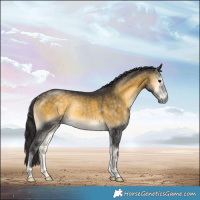 Horse Color:Buckskin Onyx Mushroom Rabicano