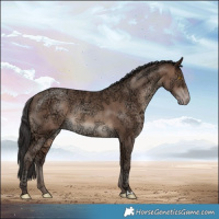 Horse Color:Sable Champagne Ice Rabicano 