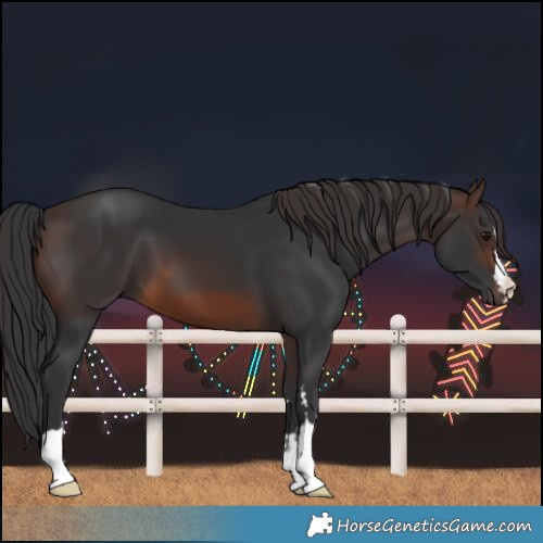 Horse Color:Brown 