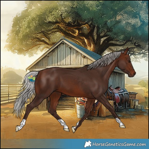 Horse Color:Silver Brown 