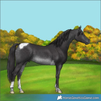 Horse Color:Platinum Buckskin Mushroom Tobiano