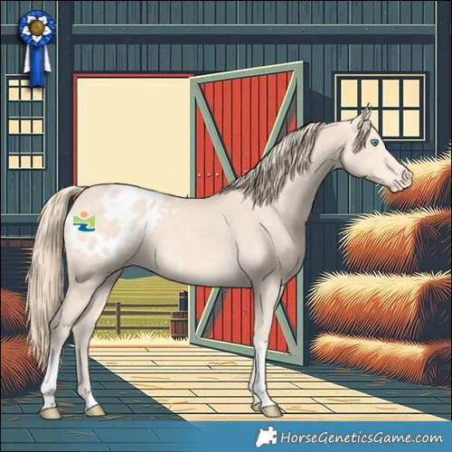 Horse Color:Perlino Tobiano Blanket