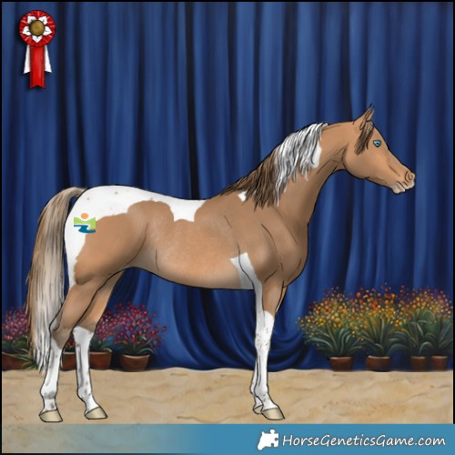 Horse Color:Gray Perlino Tobiano Rabicano 