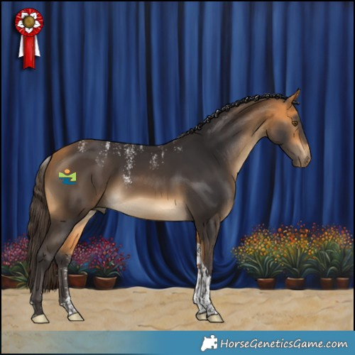 Horse Color:Powder White Buckskin Tobiano 