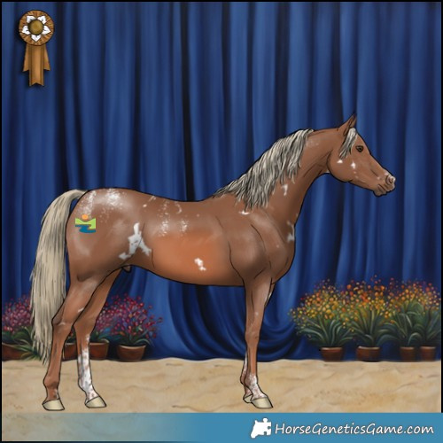 Horse Color:Powder White White Spotted Chestnut Mushroom