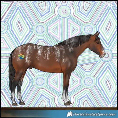 Horse Color:Powder White Bay 