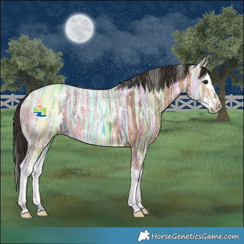 Horse Color:Powder White Bay Ice Splash 