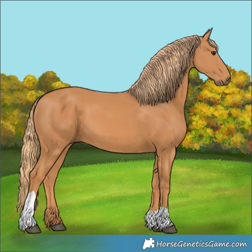 Horse Color:Chestnut Tobiano 