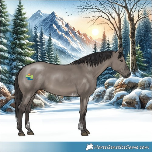 Horse Color:Smoky Grullo Tobiano 