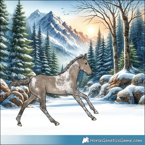 Horse Color:Silver Smoky Grullo Tobiano 