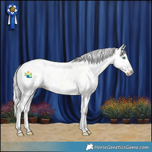 Horse Color:White Spotted Silver Smoky Creme Dun Splash Tobiano Near Leopard
