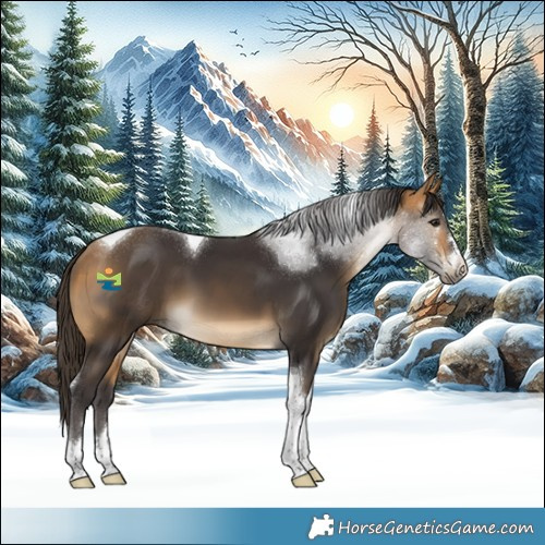 Horse Color:Buckskin Tobiano 