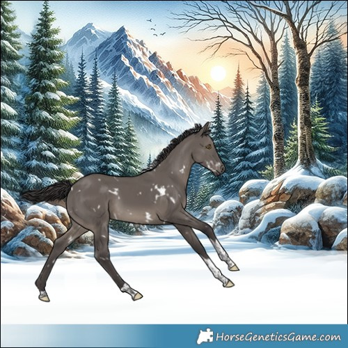 Horse Color:White Spotted Smoky Grullo Tobiano 