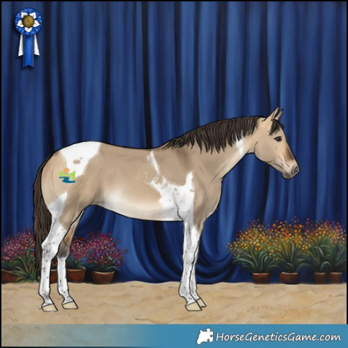Horse Color:Buckskin Dun Tobiano