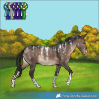 Horse Color:Powder White Brown Dun 