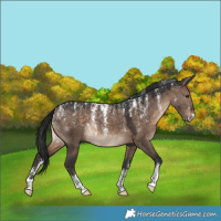 Horse Color:Powder White Brown Dun